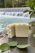 Bar Soap | eucalyptus + spearmint